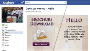 Post image for NEW: Facebook Page Fan Gates